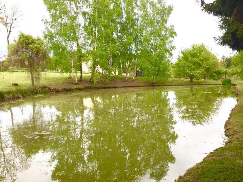 La Maison D'Hera 圣提里耶拉佩尔什 外观 照片